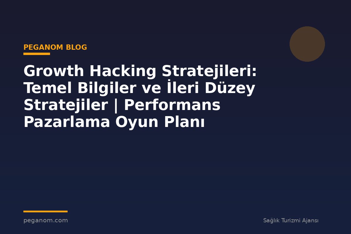 Growth Hacking Stratejileri: Temel Bilgiler ve İleri Düzey Stratejiler | Performans Pazarlama Oyun Planı