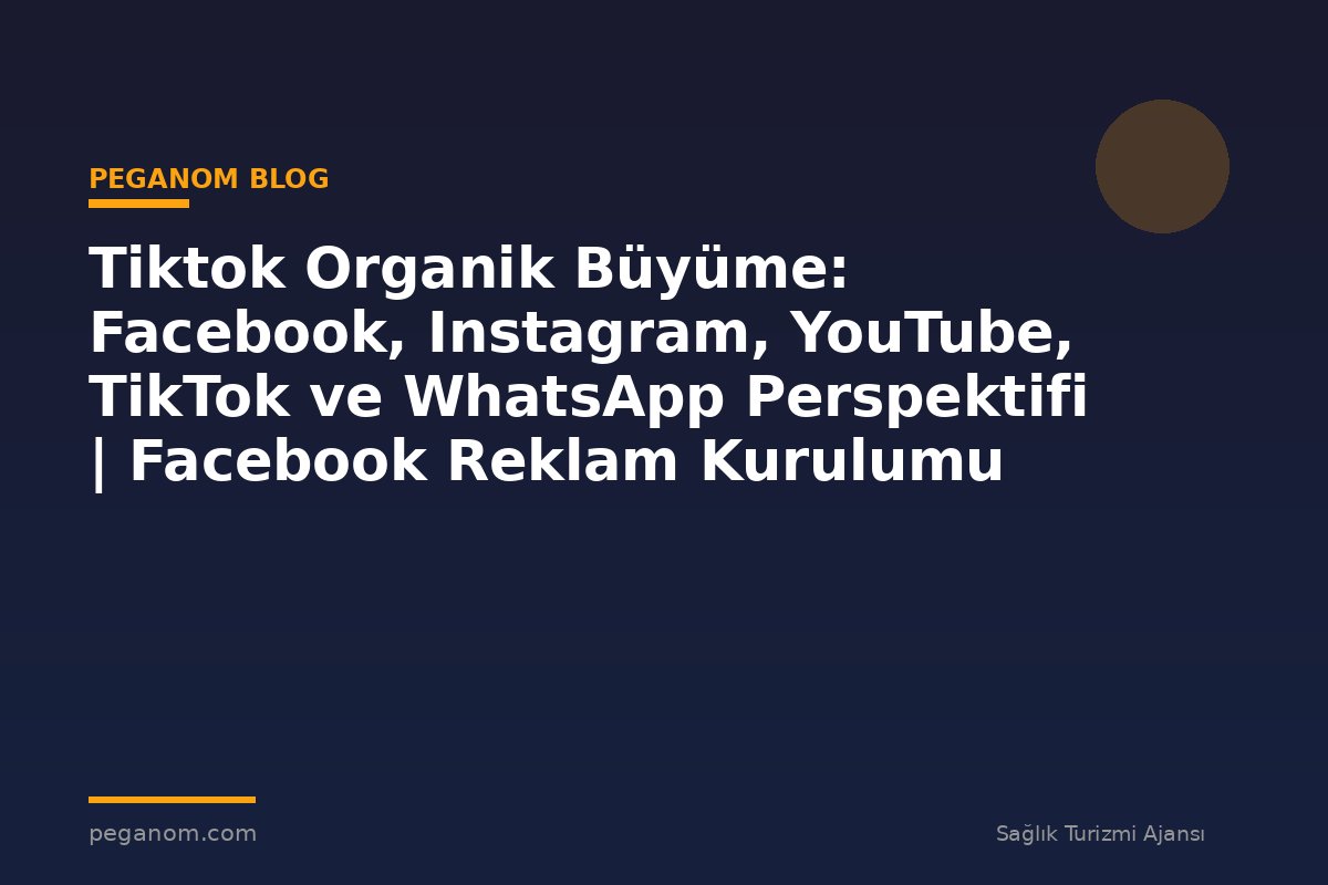 Tiktok Organik Büyüme: Facebook, Instagram, YouTube, TikTok ve WhatsApp Perspektifi | Facebook Reklam Kurulumu