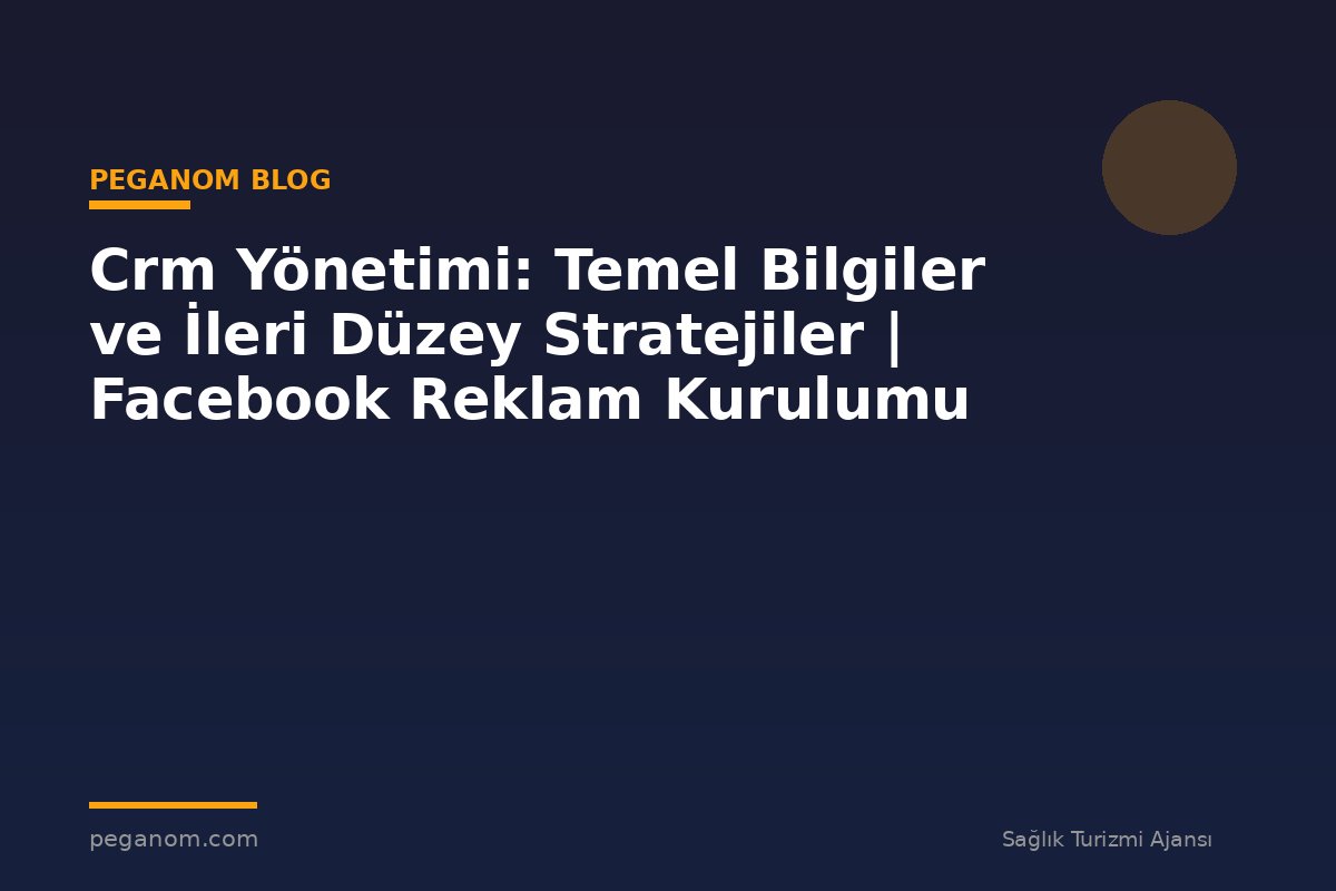 Crm Yönetimi: Temel Bilgiler ve İleri Düzey Stratejiler | Facebook Reklam Kurulumu