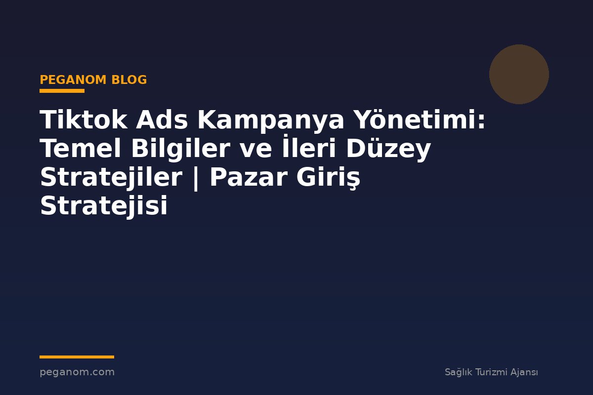 Tiktok Ads Kampanya Yönetimi: Temel Bilgiler ve İleri Düzey Stratejiler | Pazar Giriş Stratejisi