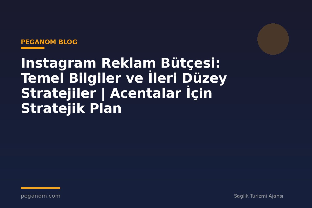 Instagram Reklam Bütçesi: Temel Bilgiler ve İleri Düzey Stratejiler | Acentalar İçin Stratejik Plan