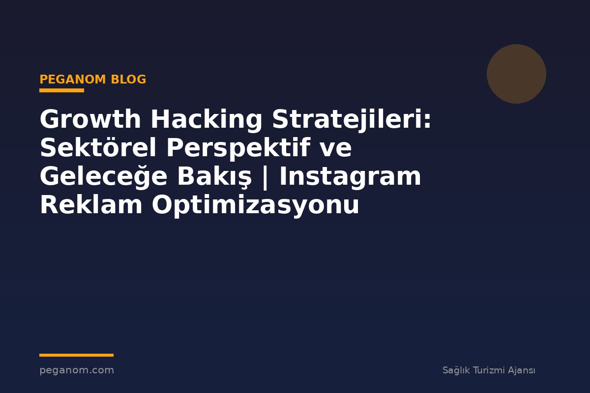 Growth Hacking Stratejileri: Sektörel Perspektif ve Geleceğe Bakış | Instagram Reklam Optimizasyonu