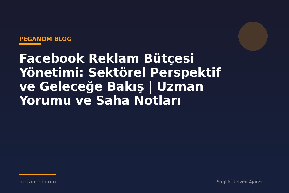Facebook Reklam Bütçesi Yönetimi: Sektörel Perspektif ve Geleceğe Bakış | Uzman Yorumu ve Saha Notları