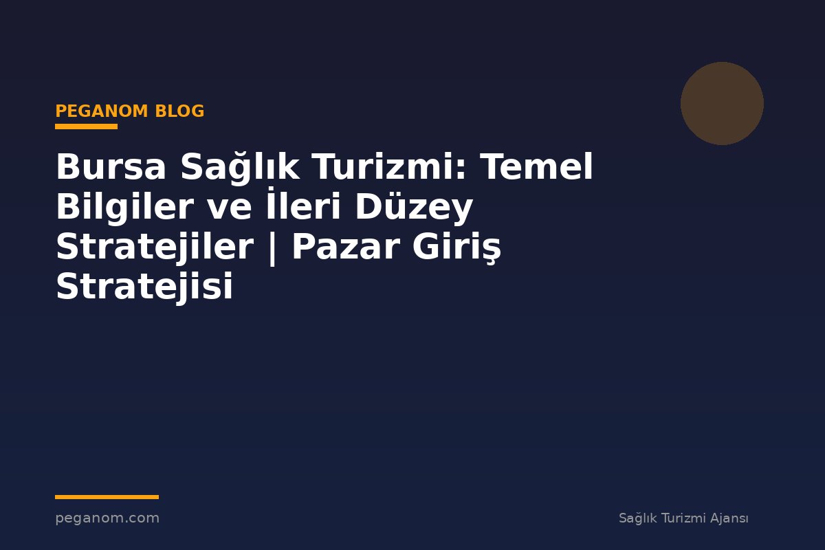 Bursa Sağlık Turizmi: Temel Bilgiler ve İleri Düzey Stratejiler | Pazar Giriş Stratejisi