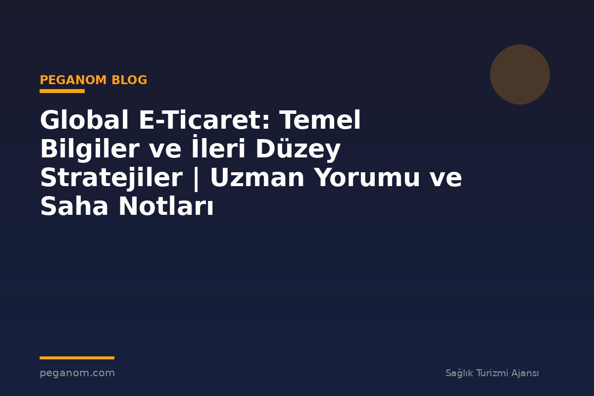 Global E-Ticaret: Temel Bilgiler ve İleri Düzey Stratejiler | Uzman Yorumu ve Saha Notları