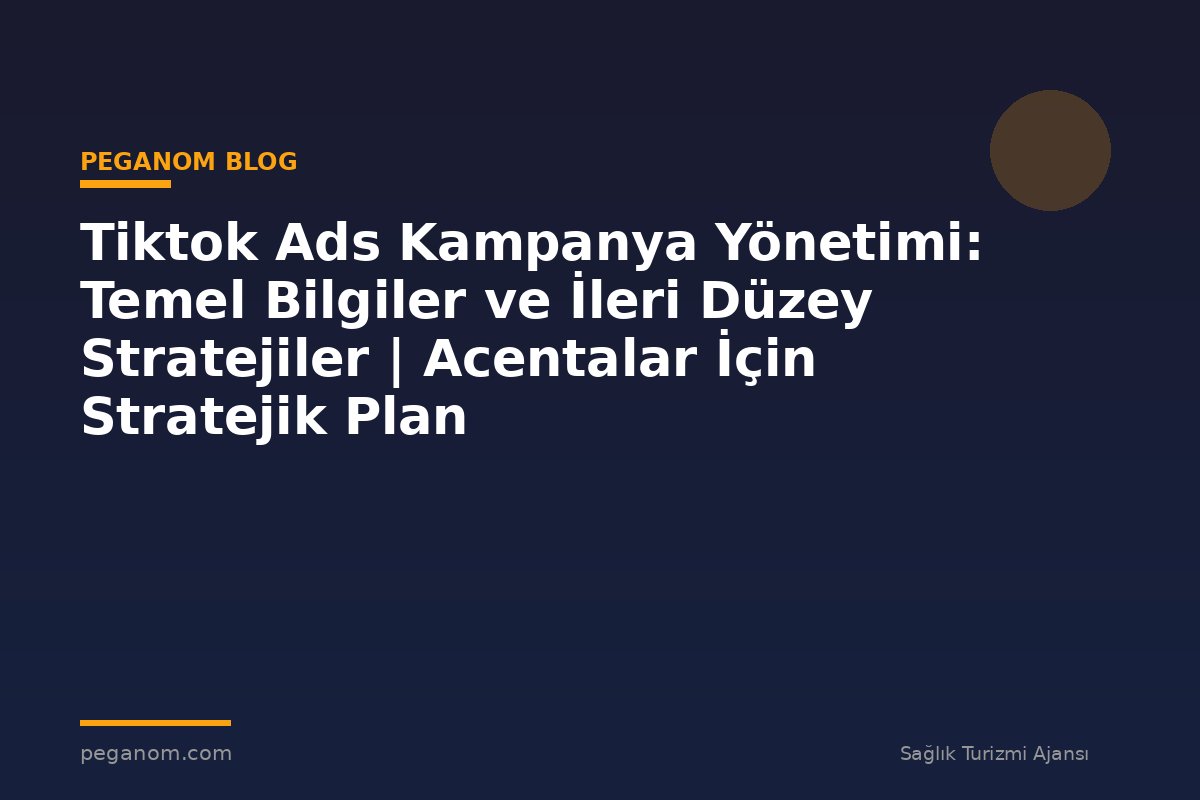 Tiktok Ads Kampanya Yönetimi: Temel Bilgiler ve İleri Düzey Stratejiler | Acentalar İçin Stratejik Plan