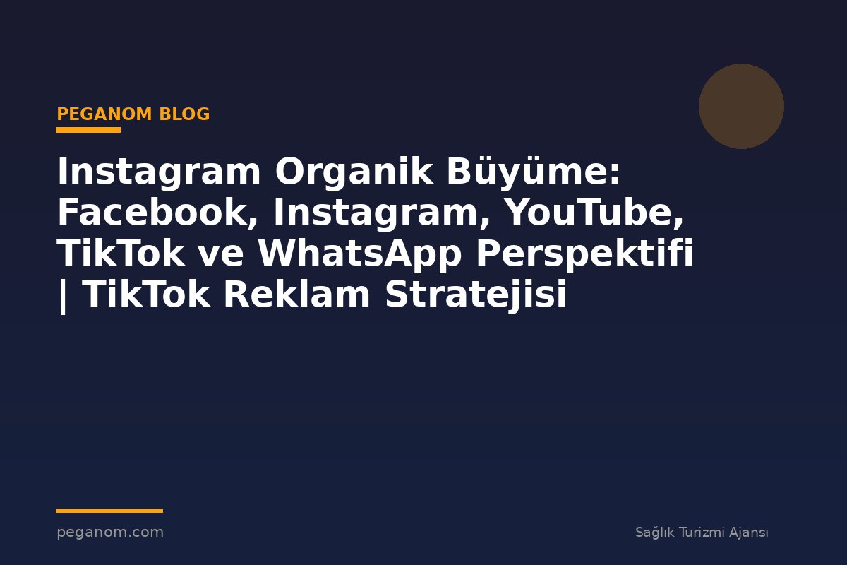 Instagram Organik Büyüme: Facebook, Instagram, YouTube, TikTok ve WhatsApp Perspektifi | TikTok Reklam Stratejisi