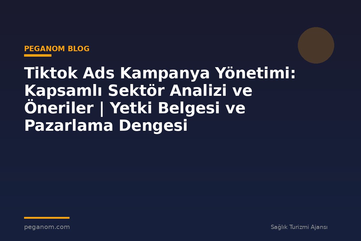 Tiktok Ads Kampanya Yönetimi: Kapsamlı Sektör Analizi ve Öneriler | Yetki Belgesi ve Pazarlama Dengesi