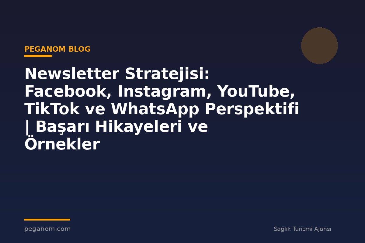 Newsletter Stratejisi: Facebook, Instagram, YouTube, TikTok ve WhatsApp Perspektifi | Başarı Hikayeleri ve Örnekler