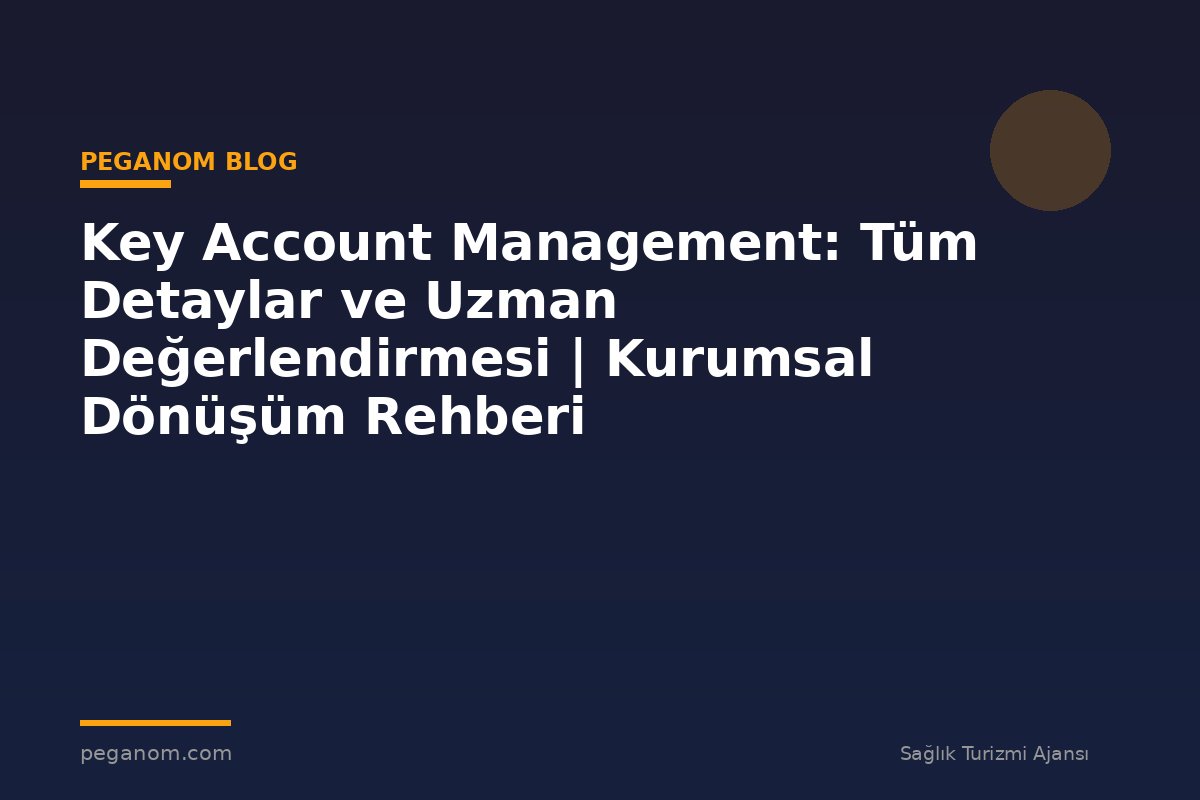 Key Account Management: Tüm Detaylar ve Uzman Değerlendirmesi | Kurumsal Dönüşüm Rehberi
