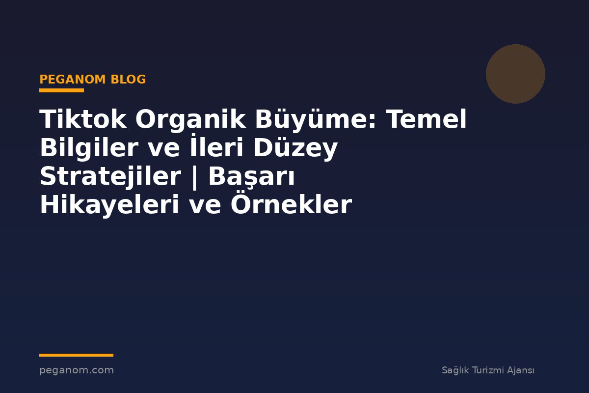Tiktok Organik Büyüme: Temel Bilgiler ve İleri Düzey Stratejiler | Başarı Hikayeleri ve Örnekler