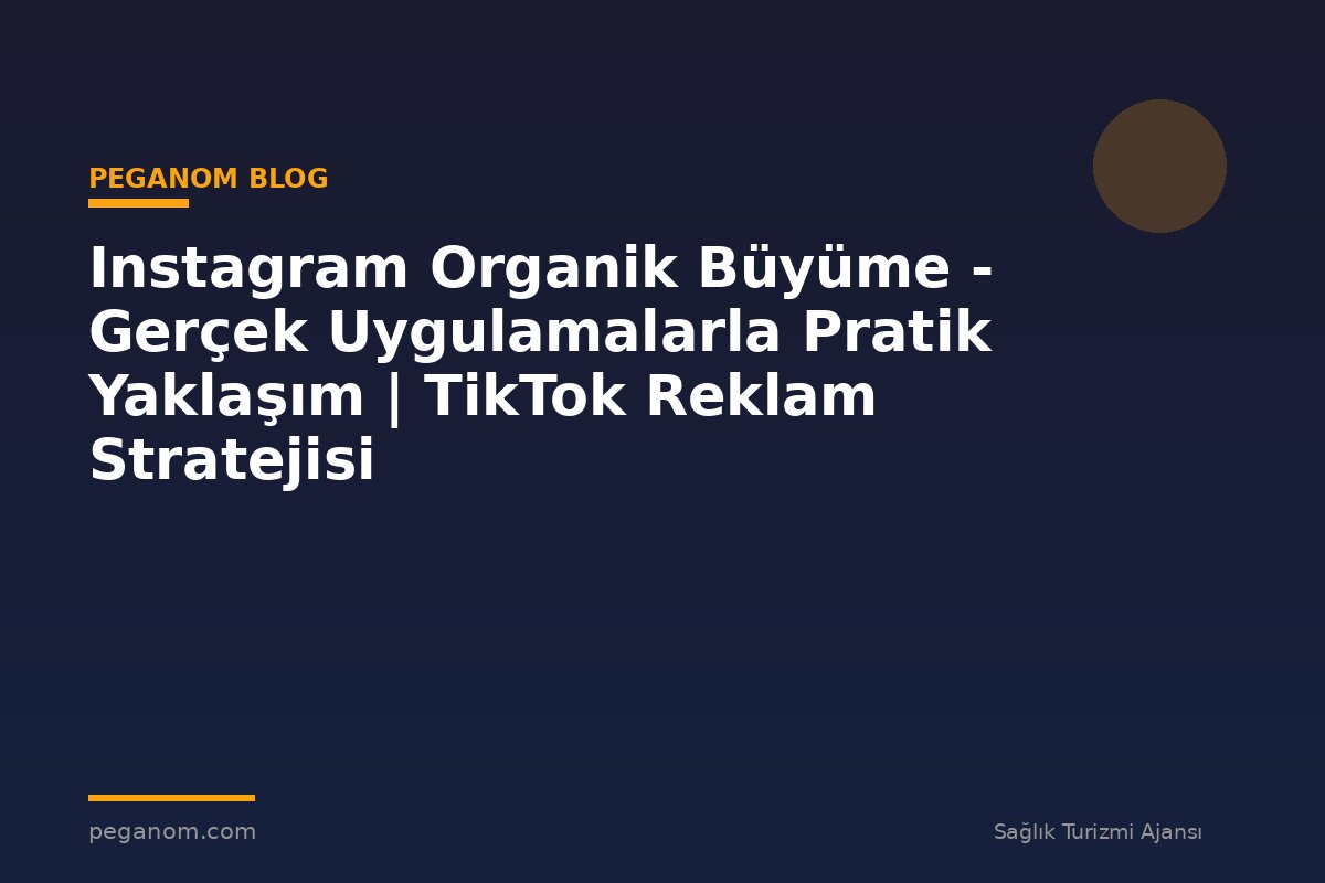 Instagram Organik Büyüme - Gerçek Uygulamalarla Pratik Yaklaşım | TikTok Reklam Stratejisi