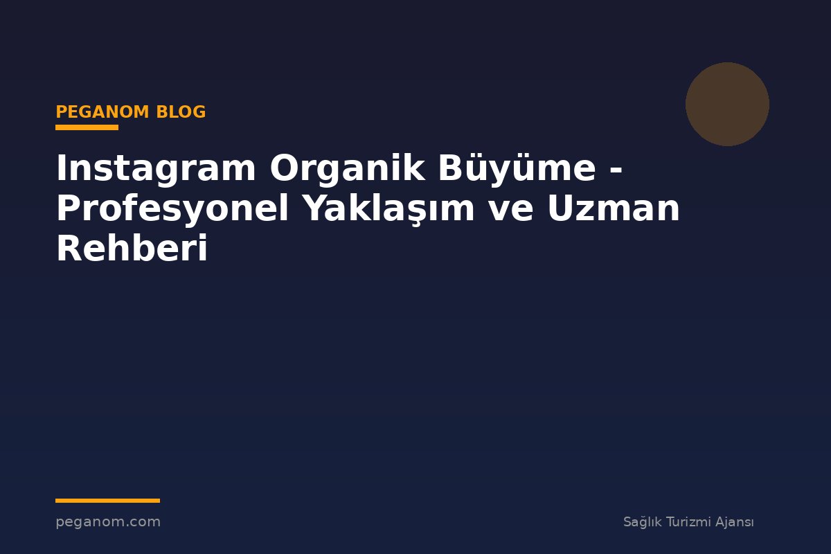 Instagram Organik Büyüme - Profesyonel Yaklaşım ve Uzman Rehberi