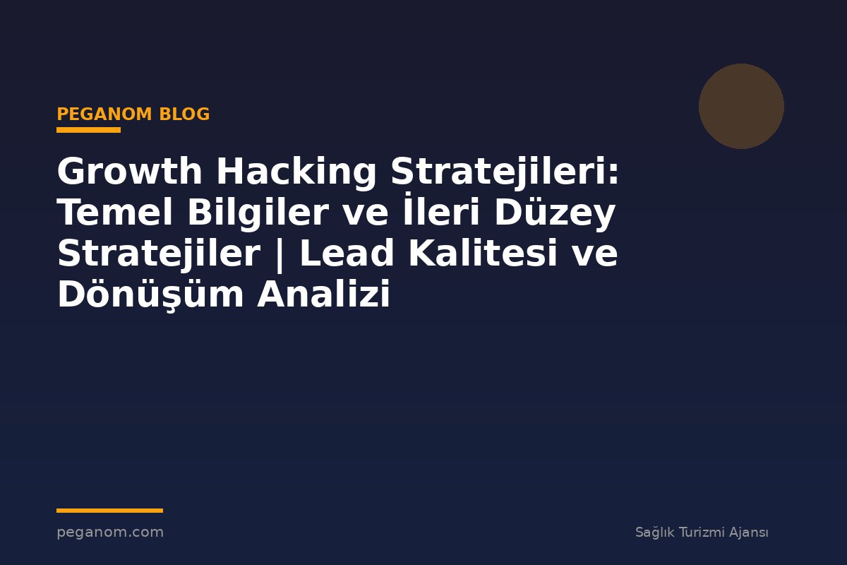 Growth Hacking Stratejileri: Temel Bilgiler ve İleri Düzey Stratejiler | Lead Kalitesi ve Dönüşüm Analizi