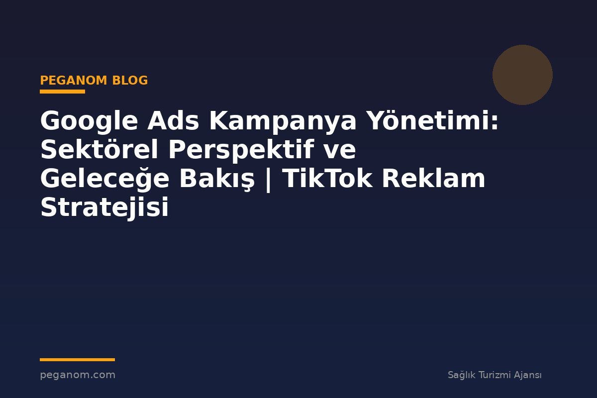 Google Ads Kampanya Yönetimi: Sektörel Perspektif ve Geleceğe Bakış | TikTok Reklam Stratejisi