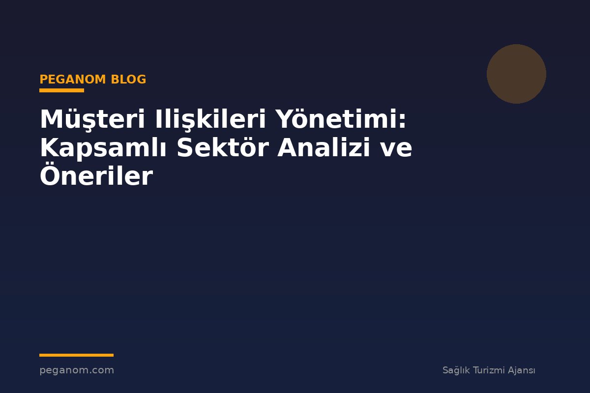 Müşteri Ilişkileri Yönetimi: Kapsamlı Sektör Analizi ve Öneriler