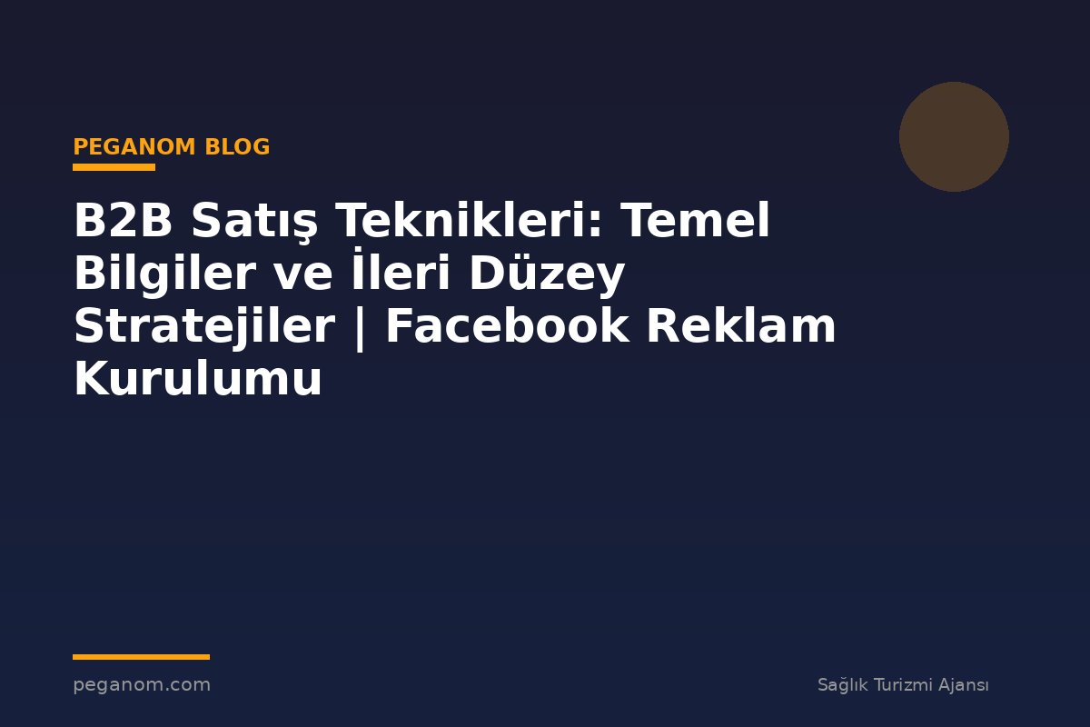 B2B Satış Teknikleri: Temel Bilgiler ve İleri Düzey Stratejiler | Facebook Reklam Kurulumu