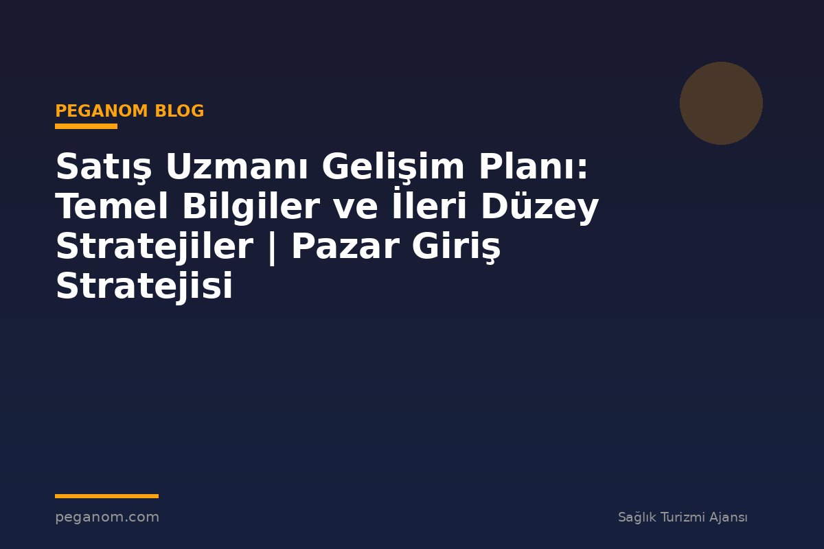 Satış Uzmanı Gelişim Planı: Temel Bilgiler ve İleri Düzey Stratejiler | Pazar Giriş Stratejisi