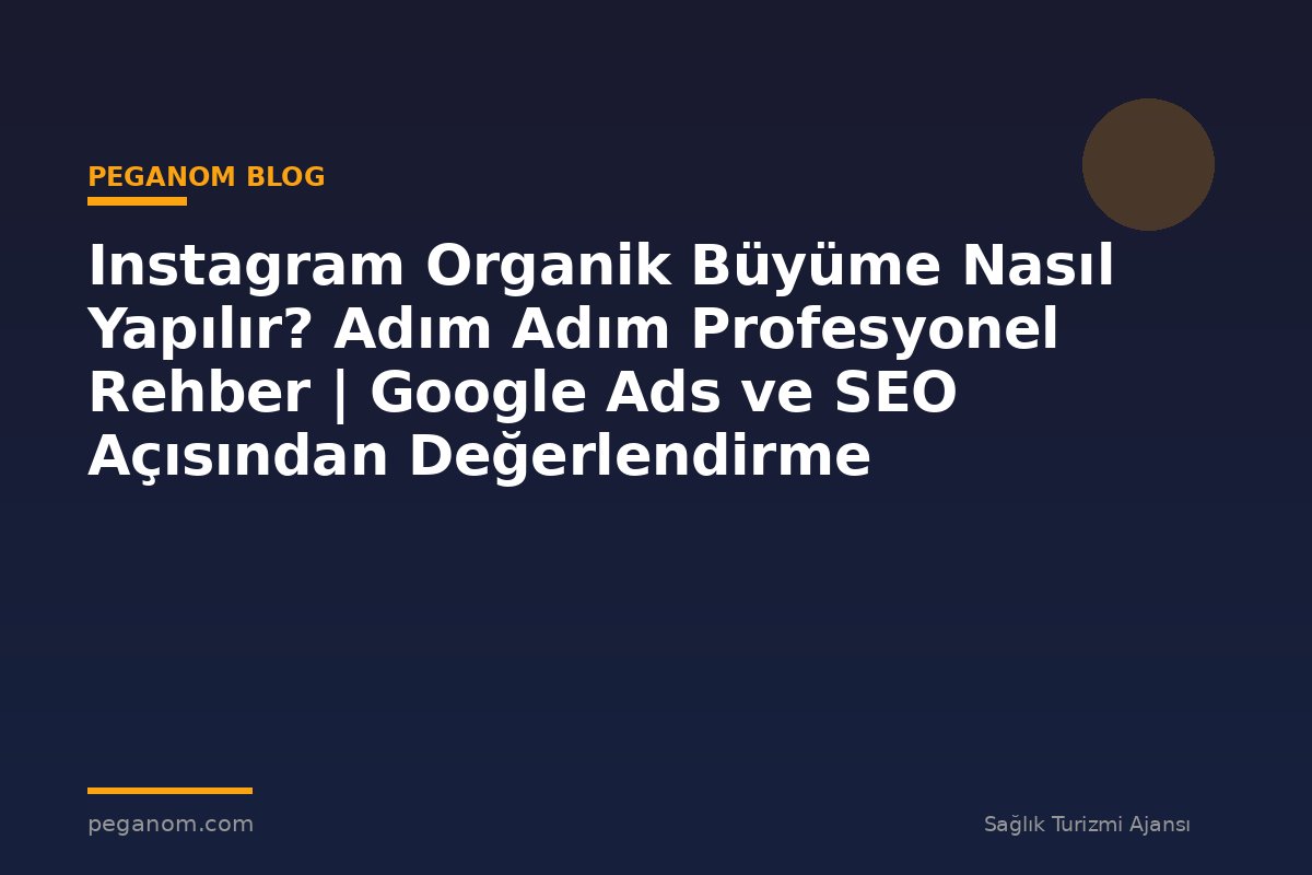 Instagram Organik Büyüme Nasıl Yapılır? Adım Adım Profesyonel Rehber | Google Ads ve SEO Açısından Değerlendirme