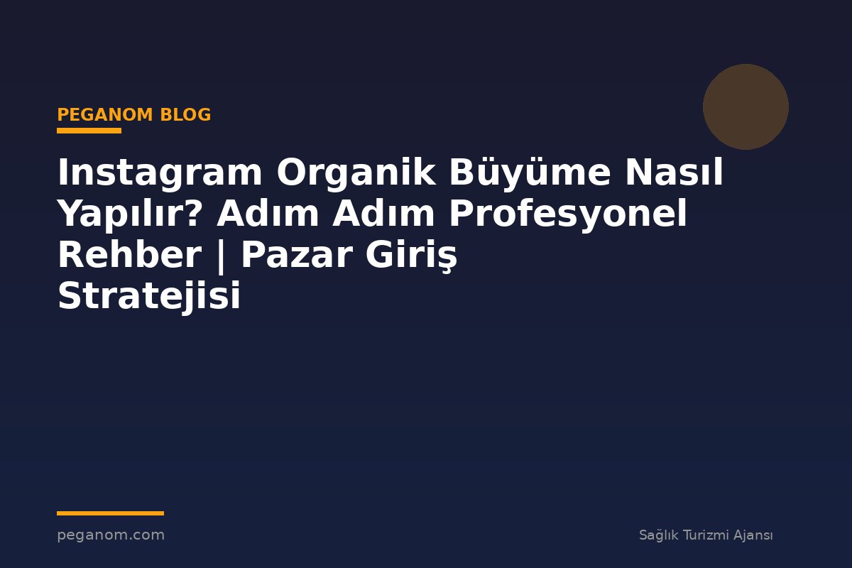 Instagram Organik Büyüme Nasıl Yapılır? Adım Adım Profesyonel Rehber | Pazar Giriş Stratejisi
