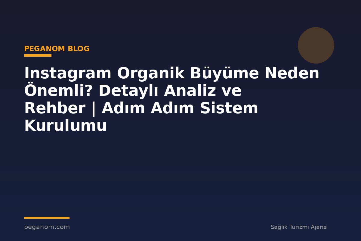 Instagram Organik Büyüme Neden Önemli? Detaylı Analiz ve Rehber | Adım Adım Sistem Kurulumu