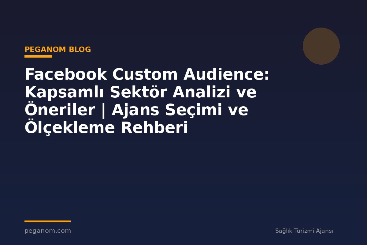 Facebook Custom Audience: Kapsamlı Sektör Analizi ve Öneriler | Ajans Seçimi ve Ölçekleme Rehberi