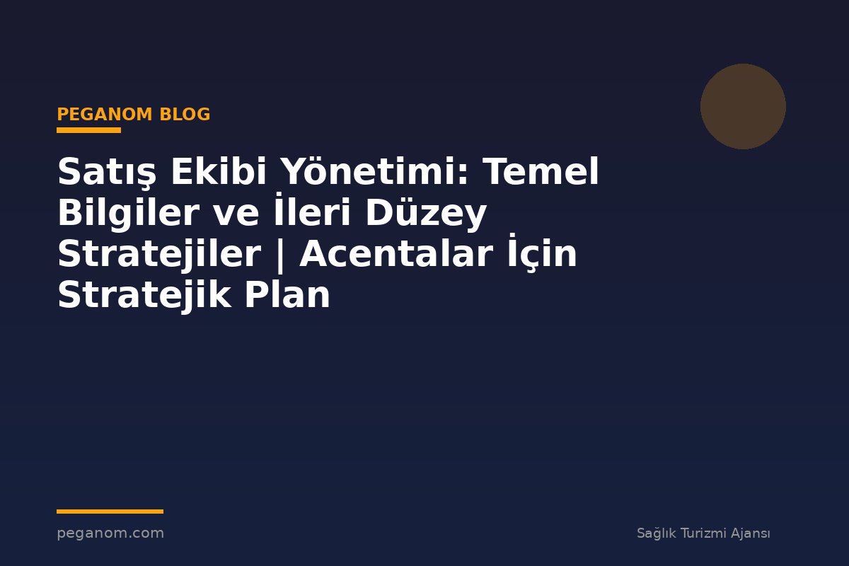 Satış Ekibi Yönetimi: Temel Bilgiler ve İleri Düzey Stratejiler | Acentalar İçin Stratejik Plan