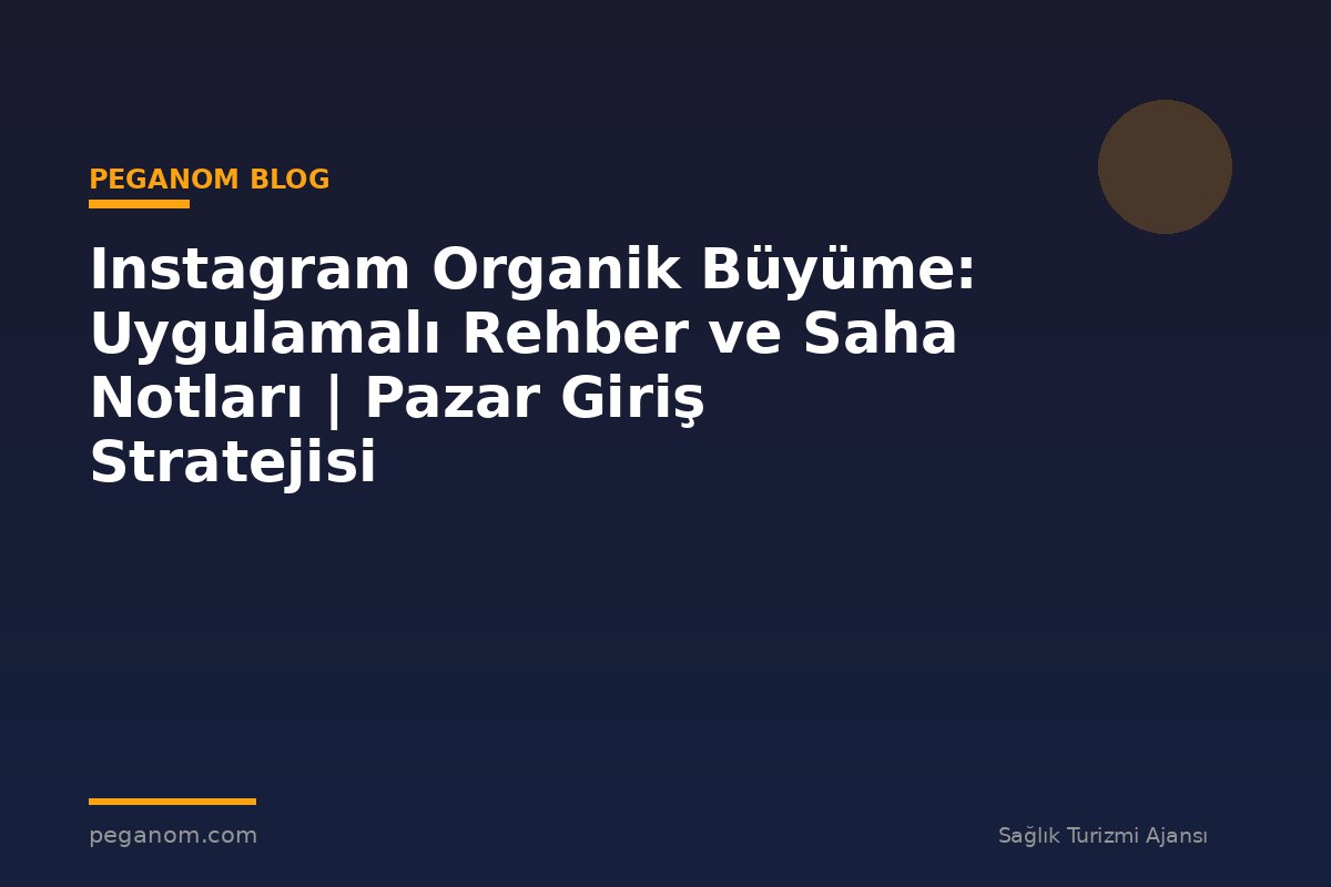 Instagram Organik Büyüme: Uygulamalı Rehber ve Saha Notları | Pazar Giriş Stratejisi