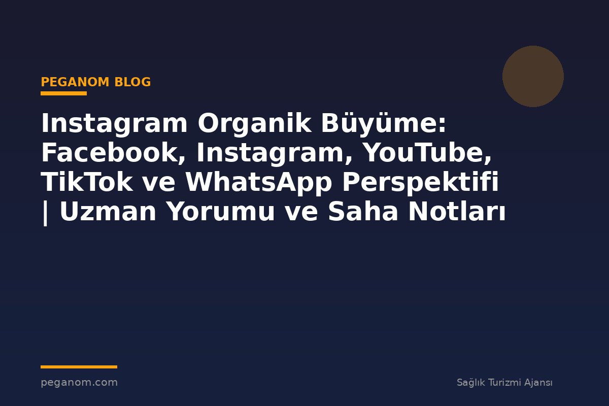 Instagram Organik Büyüme: Facebook, Instagram, YouTube, TikTok ve WhatsApp Perspektifi | Uzman Yorumu ve Saha Notları