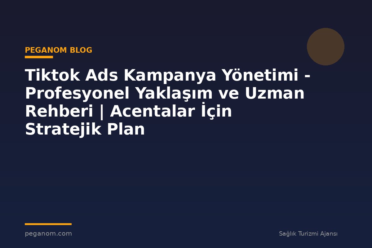 Tiktok Ads Kampanya Yönetimi - Profesyonel Yaklaşım ve Uzman Rehberi | Acentalar İçin Stratejik Plan