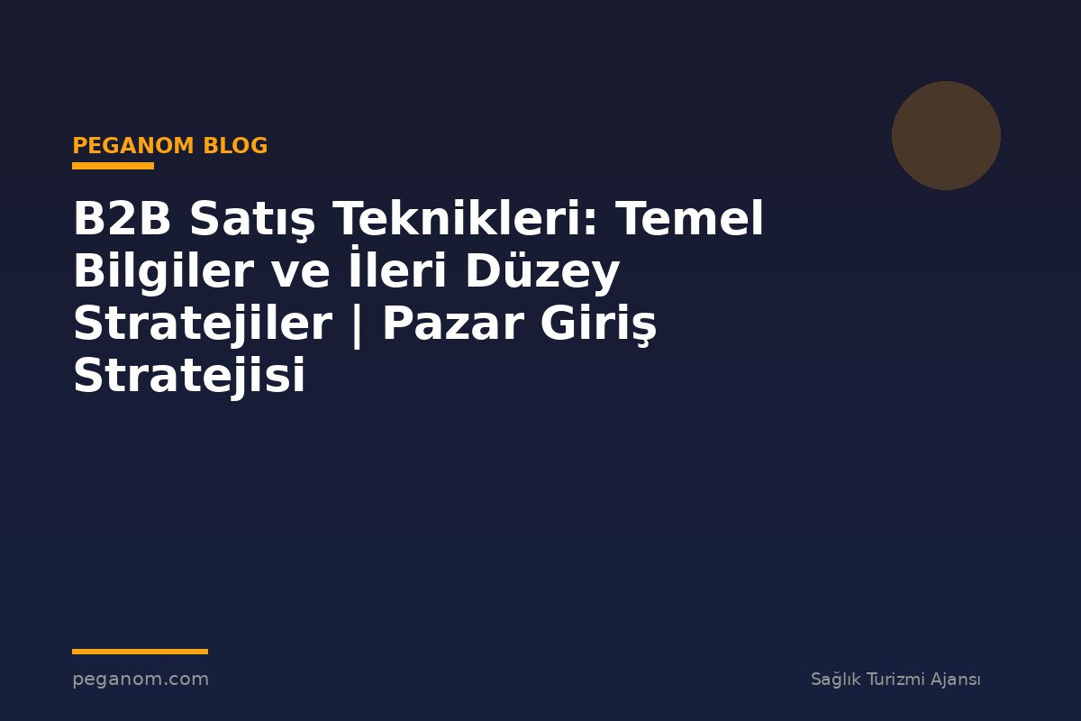 B2B Satış Teknikleri: Temel Bilgiler ve İleri Düzey Stratejiler | Pazar Giriş Stratejisi