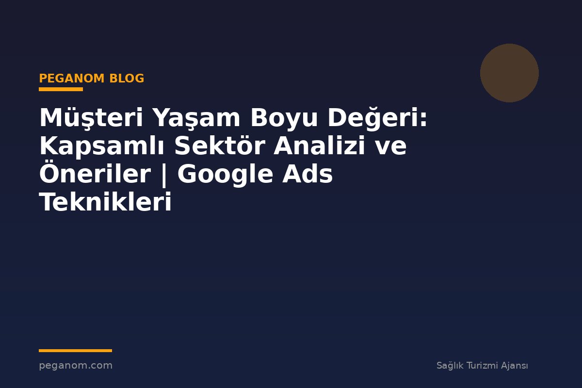 Müşteri Yaşam Boyu Değeri: Kapsamlı Sektör Analizi ve Öneriler | Google Ads Teknikleri