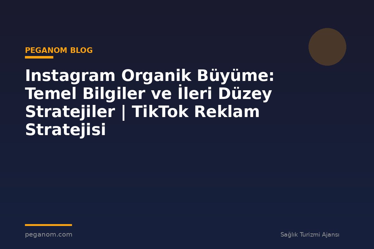Instagram Organik Büyüme: Temel Bilgiler ve İleri Düzey Stratejiler | TikTok Reklam Stratejisi