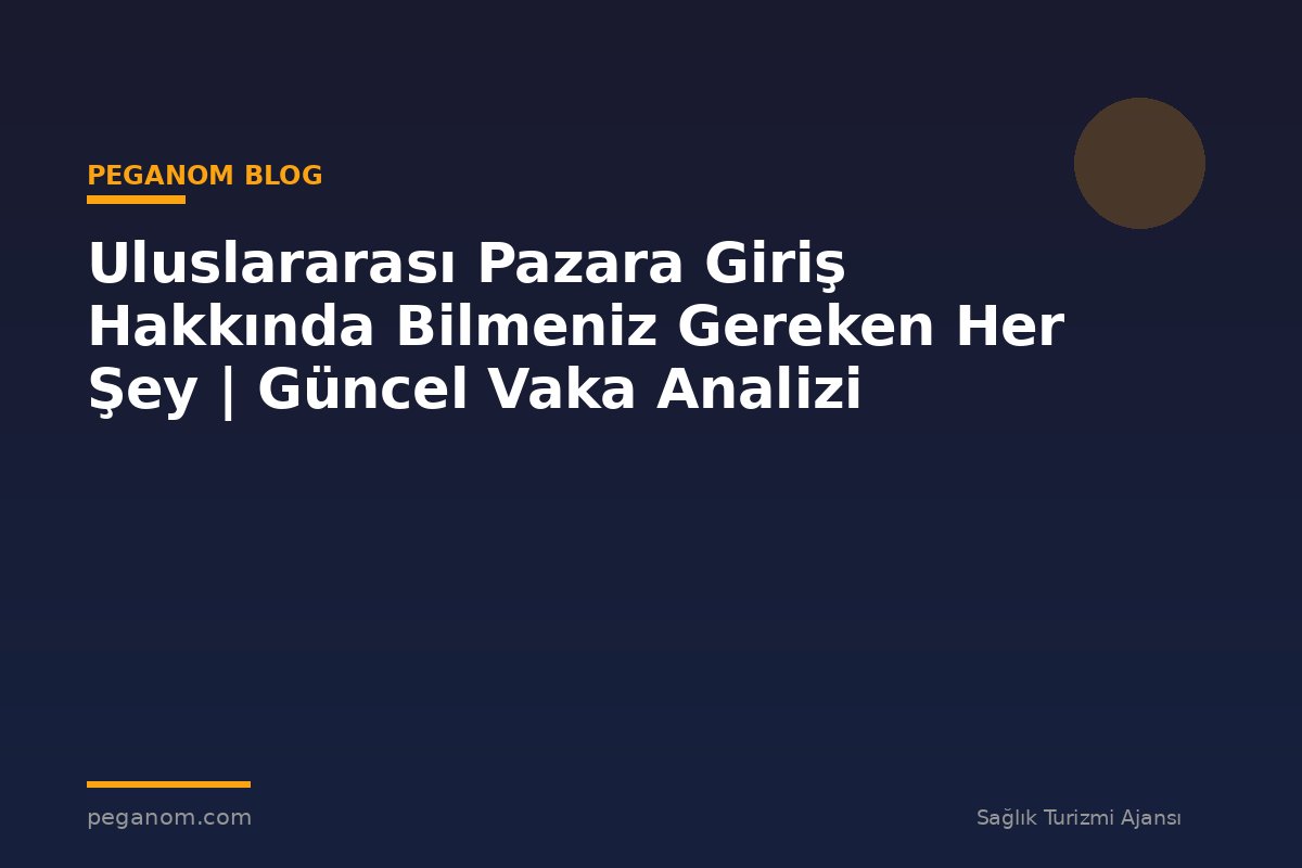 Uluslararası Pazara Giriş Hakkında Bilmeniz Gereken Her Şey | Güncel Vaka Analizi