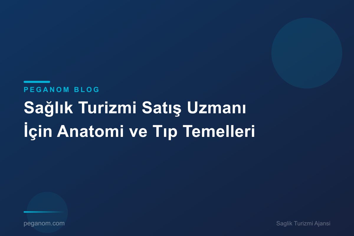 Sağlık Turizmi Satış Uzmanı İçin Anatomi ve Tıp Temelleri