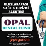 Anasayfa | Sağlık Turizmi Dijital Pazarlama Ajansı | Peganom 27