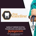 Anasayfa | Sağlık Turizmi Dijital Pazarlama Ajansı | Peganom 38