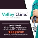 Anasayfa | Sağlık Turizmi Dijital Pazarlama Ajansı | Peganom 42