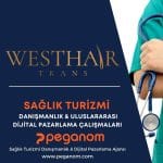 Anasayfa | Sağlık Turizmi Dijital Pazarlama Ajansı | Peganom 45